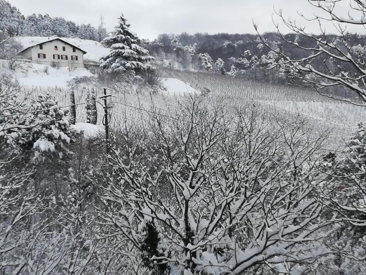 Cottage Lavanda E Rosmarino Lavis Kültér fotó