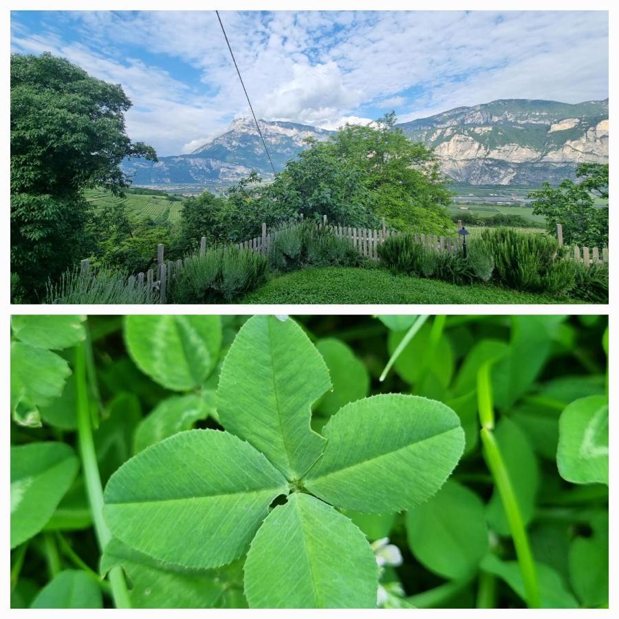 Cottage Lavanda E Rosmarino Lavis Kültér fotó