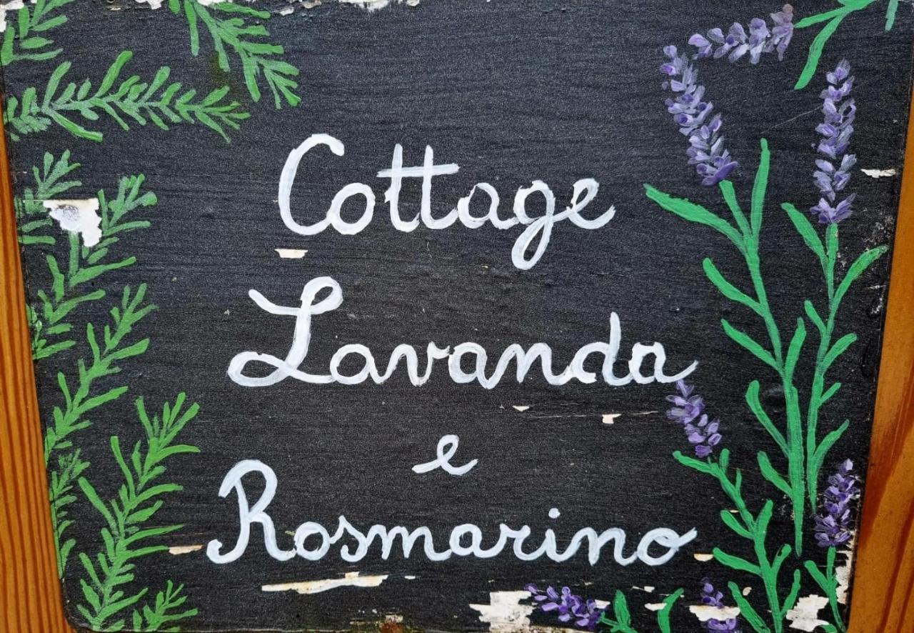 Cottage Lavanda E Rosmarino Lavis Kültér fotó