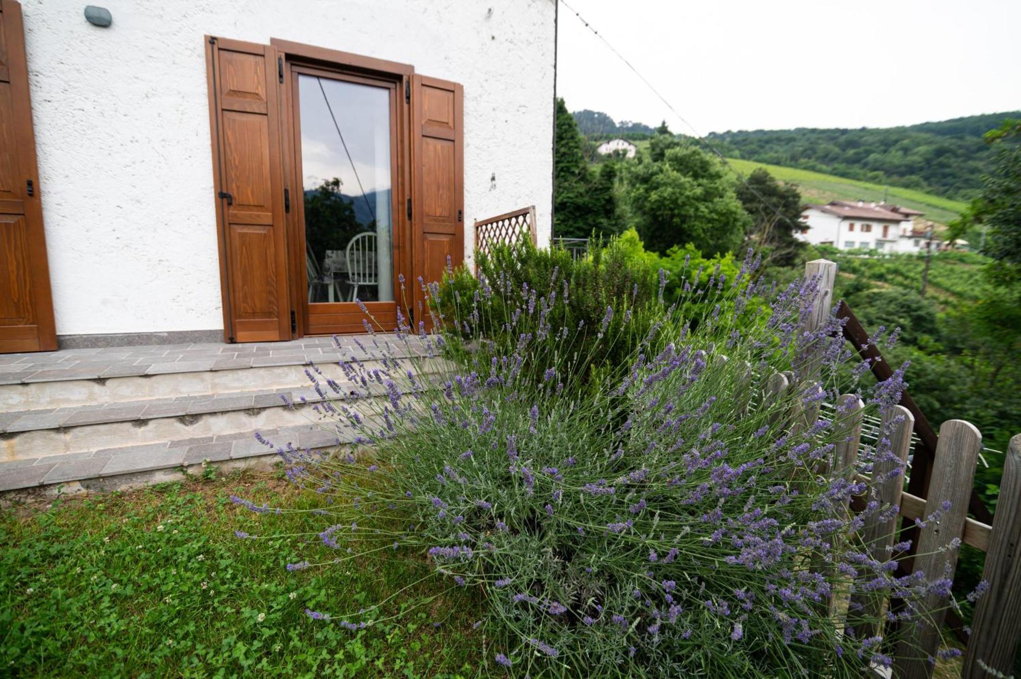 Cottage Lavanda E Rosmarino Lavis Kültér fotó