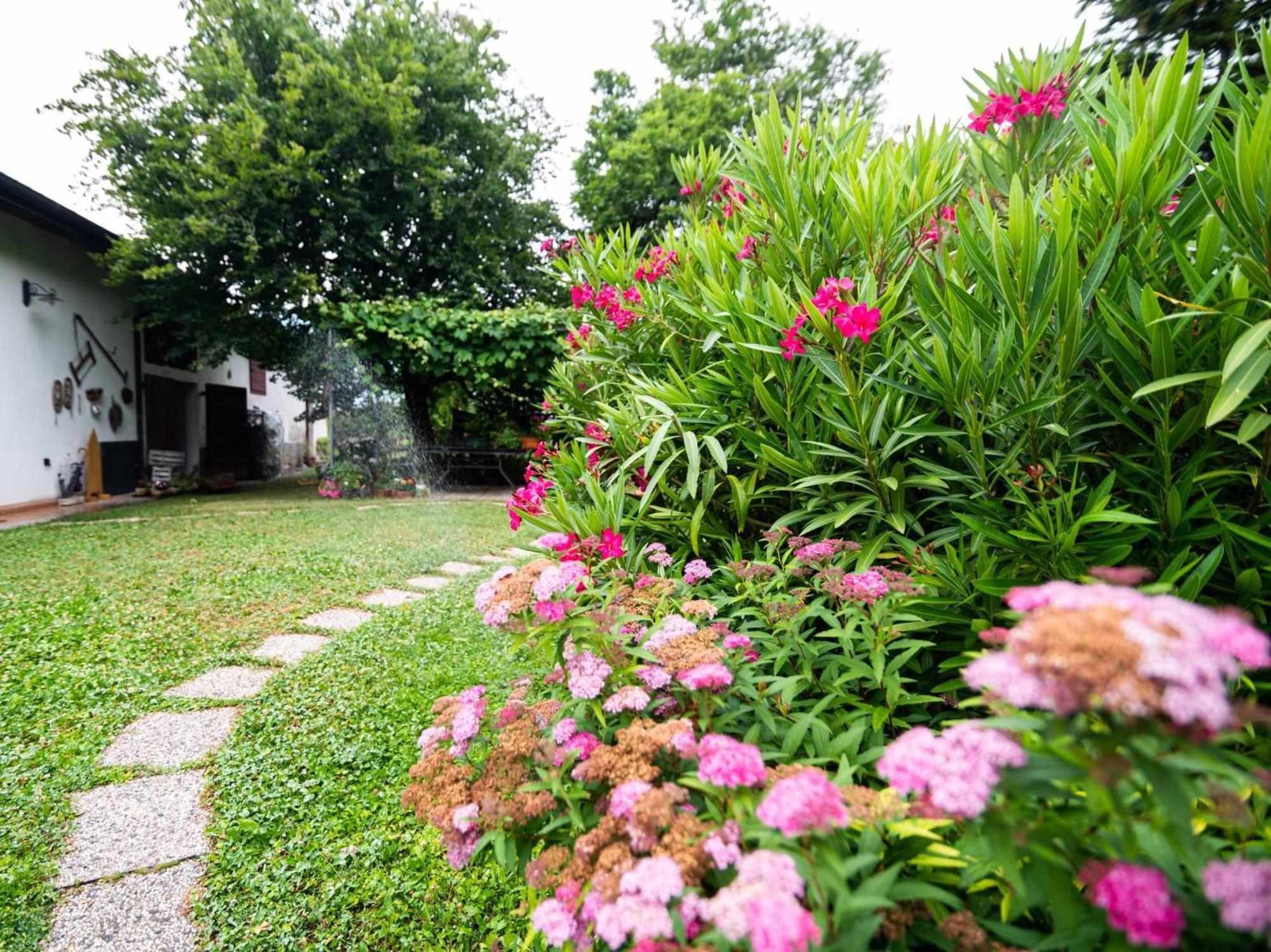Cottage Lavanda E Rosmarino Lavis Kültér fotó