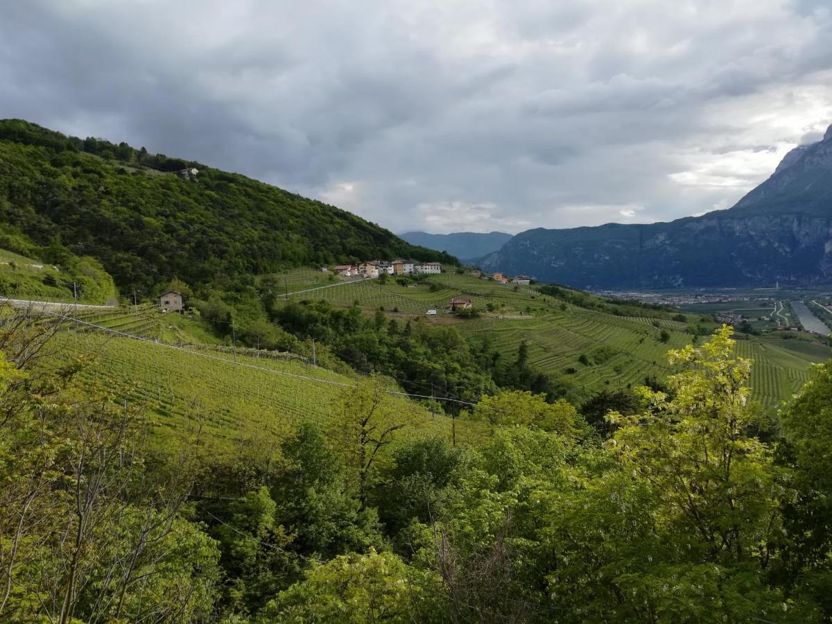 Cottage Lavanda E Rosmarino Lavis Kültér fotó
